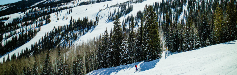 Comment ranger les skis et les chaussures de ski en été ?