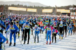 Vasaløbets direktør takker af