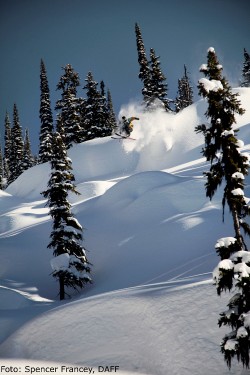 Skifilm på festival