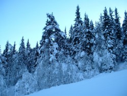 Træn lavinesøgning gratis i Hemsedal