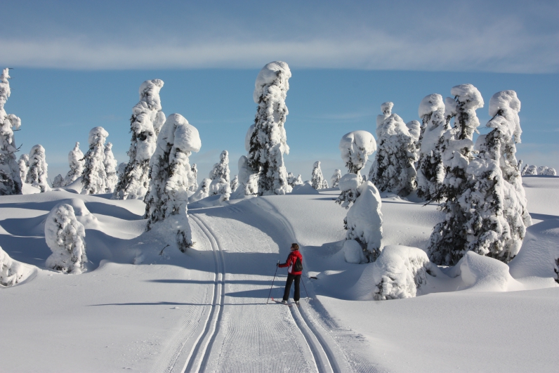 De 10 bedste langrends steder i Norge